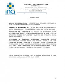 INTERPRETACION DE GASES ARTERIALES Y CUIDADOS DE ENFERMERIA EN EL PACIENTE CRITICO. Página 1