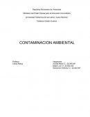 Contaminación Ambiental . Consecuencias