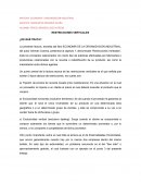 Restricciones economicas verticales