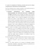 Poltica unternacional Cubana