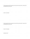 CLIMA ORGANIZACIONAL BASADO EN INCENTIVOS, MOTIVACIÓN Y CONFLICTOS INTERPERSONALES