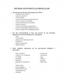 SISTEMA OSTEOARTICULOMUSCULAR