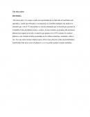 ANÁLISIS DE LA INDUSTRIA DEL CALZADO