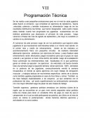 Programación Técnica