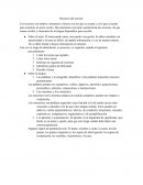 Recursos del escritor