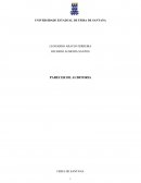 Parecer de auditoria