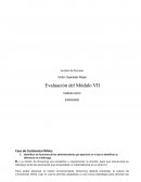 Caso de Continental White