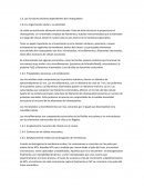 Las funciones celulares dependientes del citoesqueleto