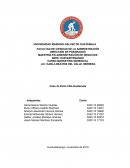 Caso se exito Vilia Guatemala