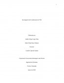 Investigación de la Aplicación de TGS