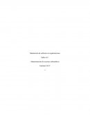 Mantención de software en organizaciones