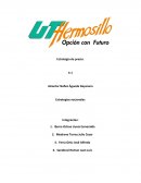 Estrategias nacionales. Análisis del mercado internacional