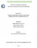 PROYECTO: DISEÑO E IMPLEMENTACION DE UN PLAN DE MARKETING PARA LA EMPRESA DELEITE