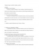 Transporte de agua y nutrientes en plantas vasculares