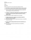 Practica de economía