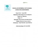 Sintesis del marco teorico
