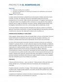 PROYECTO 1: EL ROMPEHIELOS