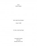 Ensayo de perfiles criminales