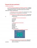 Esquema plan publicitario