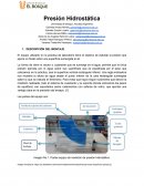 Informe mecánica de fluidos