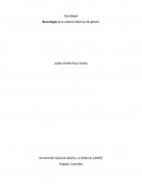 Sociología de la cultura-Violencia de género