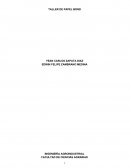 TALLER DE PAPEL BOND