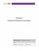 Burbujas. Empresa de detergentes industriales