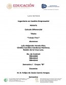 Ensayo calculo diferencial istorico