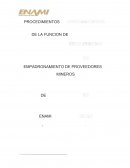 PROCEDIMIENTOS DE LA FUNCION DE EMPADRONAMIENTO DE PROVEEDORES MINEROS