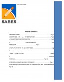 ELABORAR PISO CERAMICO empresa Vitromex