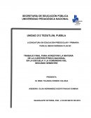 LA ESCUELA INDIGENA