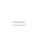 CASOS LEGISLACION LABORAL. GESTION DE RECURSOS HUMANOS