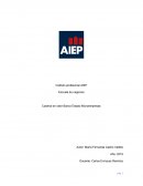 Cadena de valor Banco Estado Microempresas