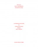 PROYECTO EFECTO INVERNADERO EN NUESTRA CIUDAD