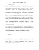 10 desafíos ambientales