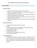Informe Diagnóstico de Necesidades de Formación/Capacitación