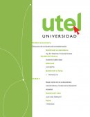 ESTRUCTURA DE LA INDUSTRIA DE LA TRANFORMACION