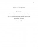 Tipificación de la Cultura Organizacional