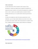 Cultura organizacional . Clima organizacional