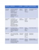 COMPETENCIAS DOCENTES