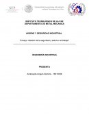 Ensayo Higiene y Seguridad Industrial IMSS