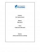 FIDEICOMISO MERCANTIL CONCEPTUALIZACION