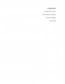 Concepto de ciudadanía