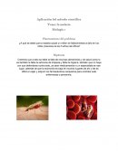 La malaria