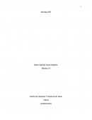 Lectoescritura Normas APA