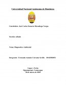 Diagnostico Ambiental