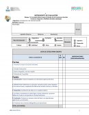 Conceptos básicos para el Estudio de los Fenómenos Sociales