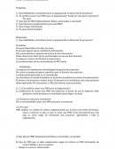 PMPO para un solo proyecto