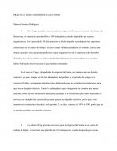 Practica despidos colectivos