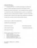 INDUCCIÓN ESPECÍFICA Cargo Supervisor de despachos